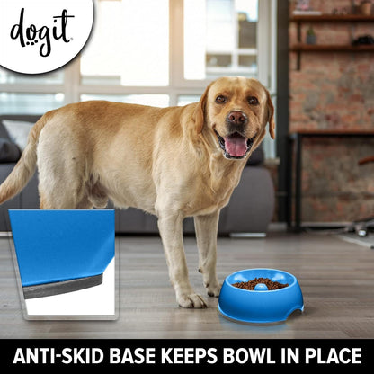 Go Slow Anti Gulp Dish Dog Bowl