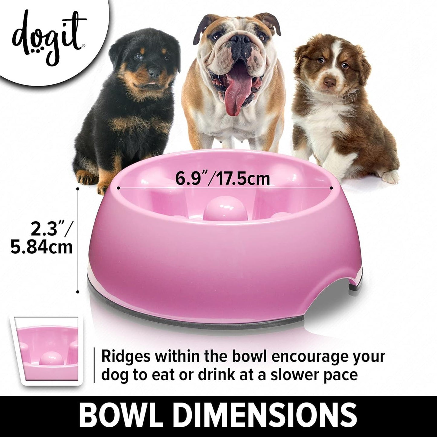 Go Slow Anti Gulp Dish Dog Bowl