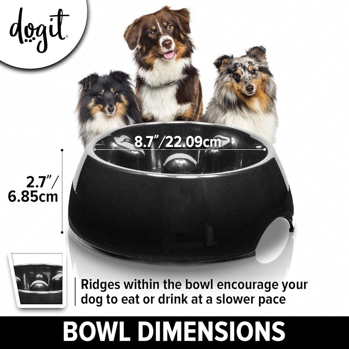 Go Slow Anti Gulp Dish Dog Bowl