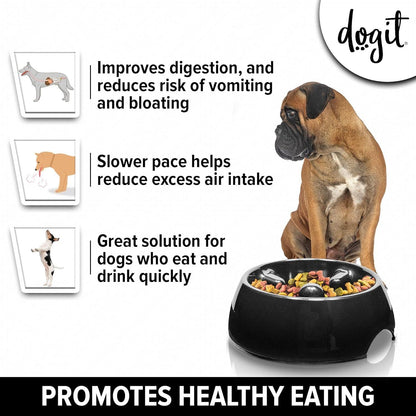 Go Slow Anti Gulp Dish Dog Bowl