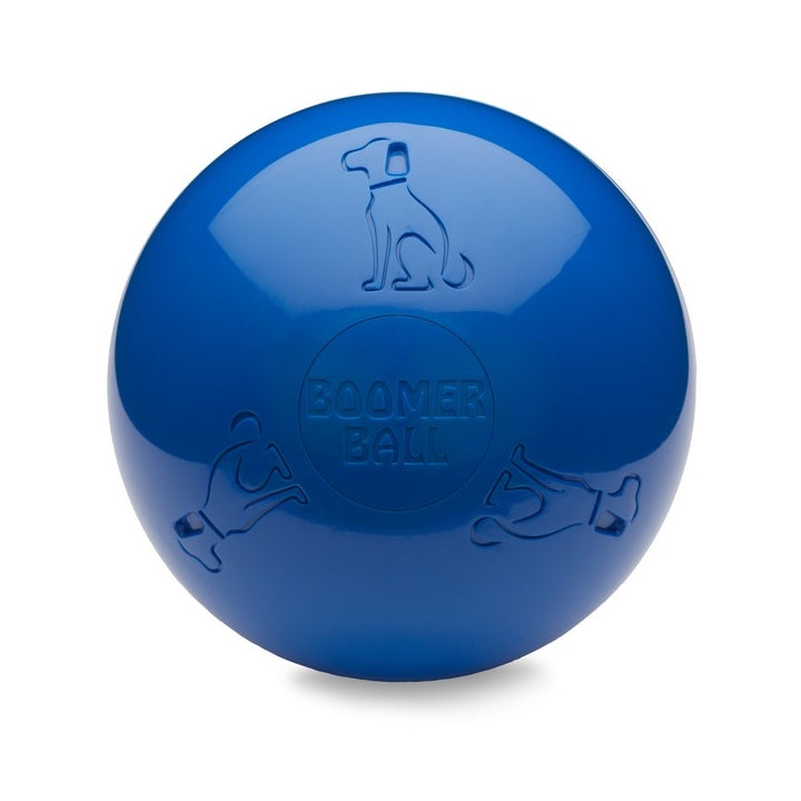 Boomer Ball Dog Toy