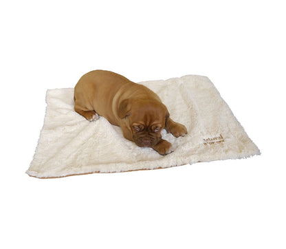 Luxury Puppy & Small Dog Blanket 70x50cm