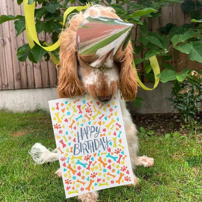 'Happy Birthday Bones' Cheese Flavoured Edible Card For Dogs