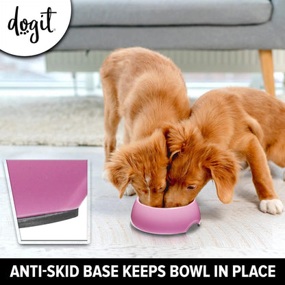 Go Slow Anti Gulp Dish Dog Bowl