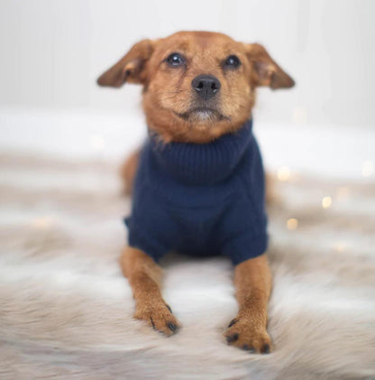 Rainbow Christmas Tree Dog Jumper