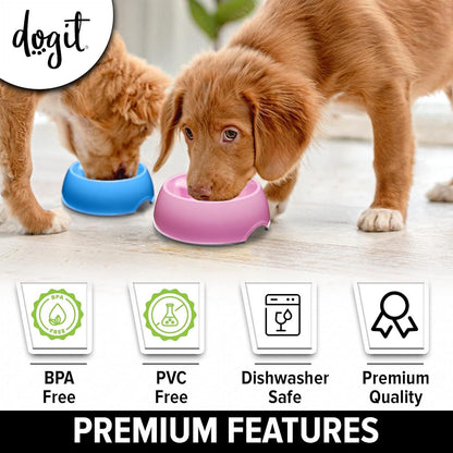 Go Slow Anti Gulp Dish Dog Bowl