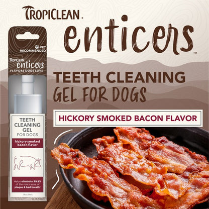 Enticers Teeth Cleaning Gel for Dogs 59ml