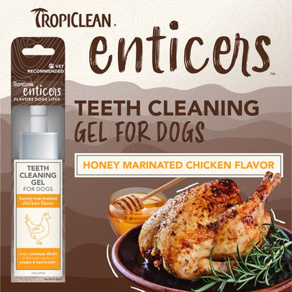 Enticers Teeth Cleaning Gel for Dogs 59ml