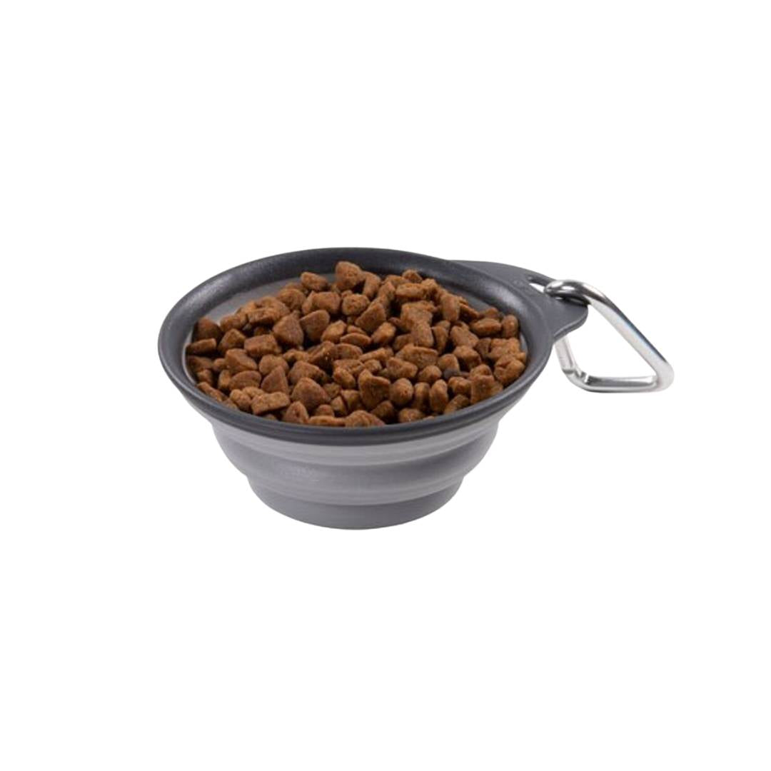 Collapsible Pet Travel Cup/Bowl