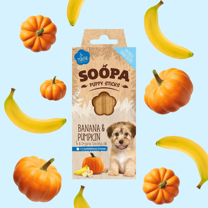 Banana & Pumpkin Dental Sticks for Puppies 100g