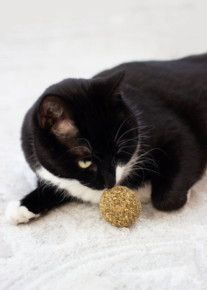 Naturals Catnip Ball for Cats 5cm