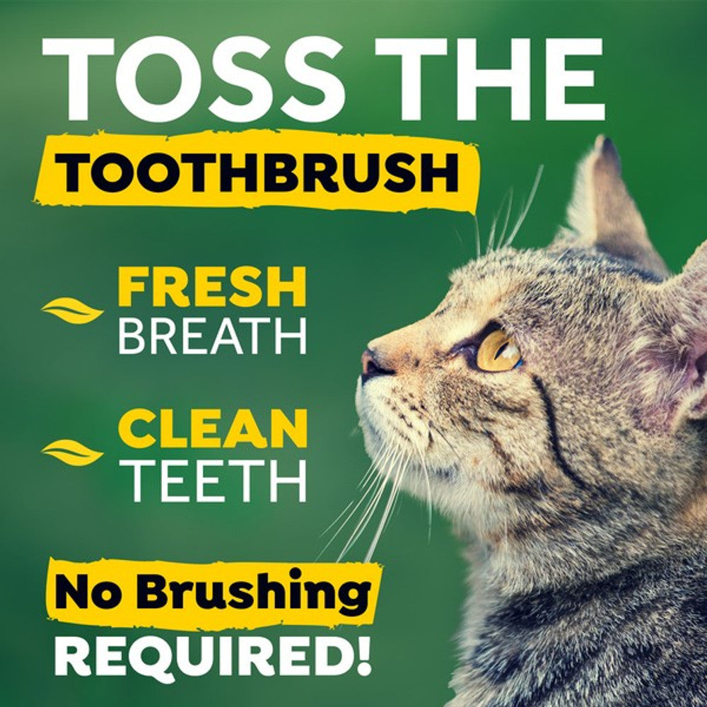 Fresh Breath Dental Health Solution for Cats 473ml