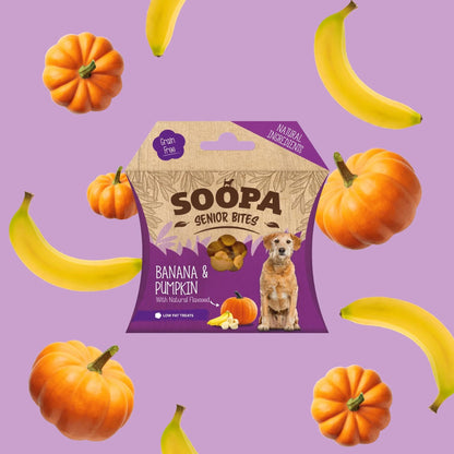 Banana, Pumpkin & Flaxseed Healthy Bites for Senior Dogs 50g