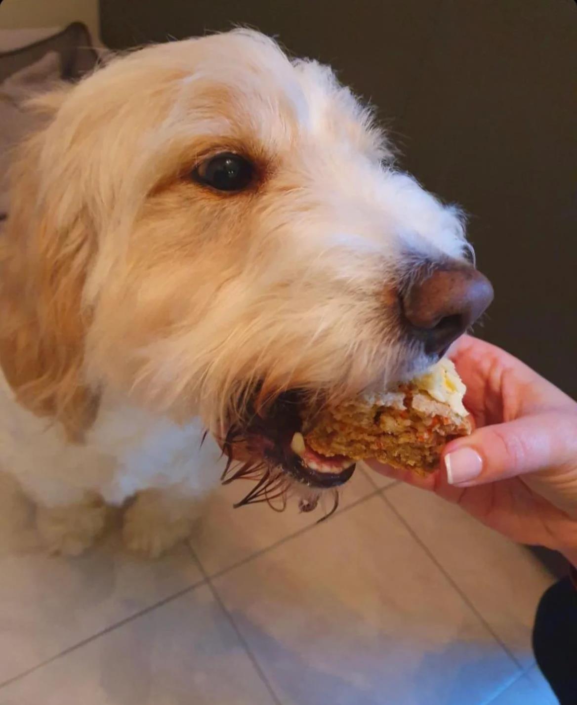 Doggy Baking Co. Bottled Paw-licking Carrot Cake Mix Just for Dogs