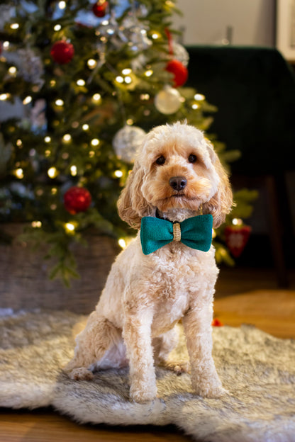 Cupid & Comet Green Knitted Bow Tie for Dogs