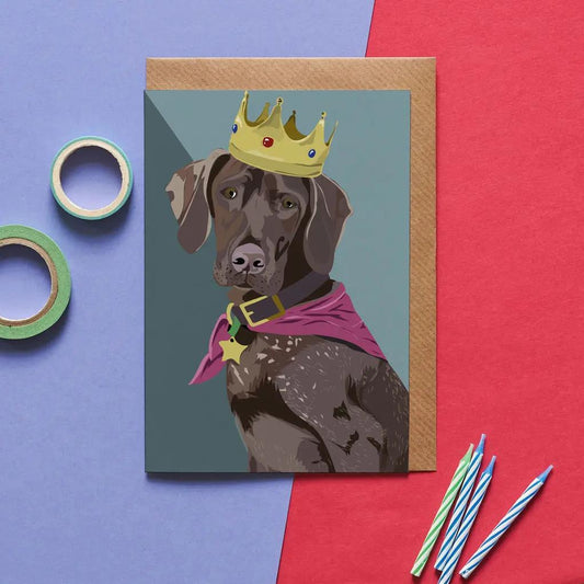 Django the German Pointer Greeting Card