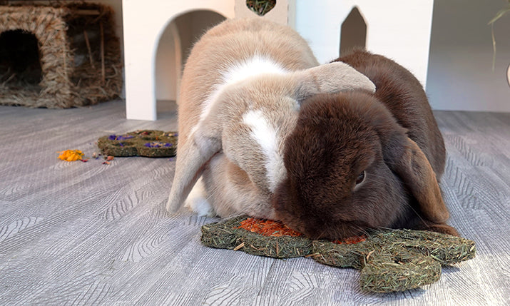 Naturals Carrot 'n' Forage Bunny for Small Animals