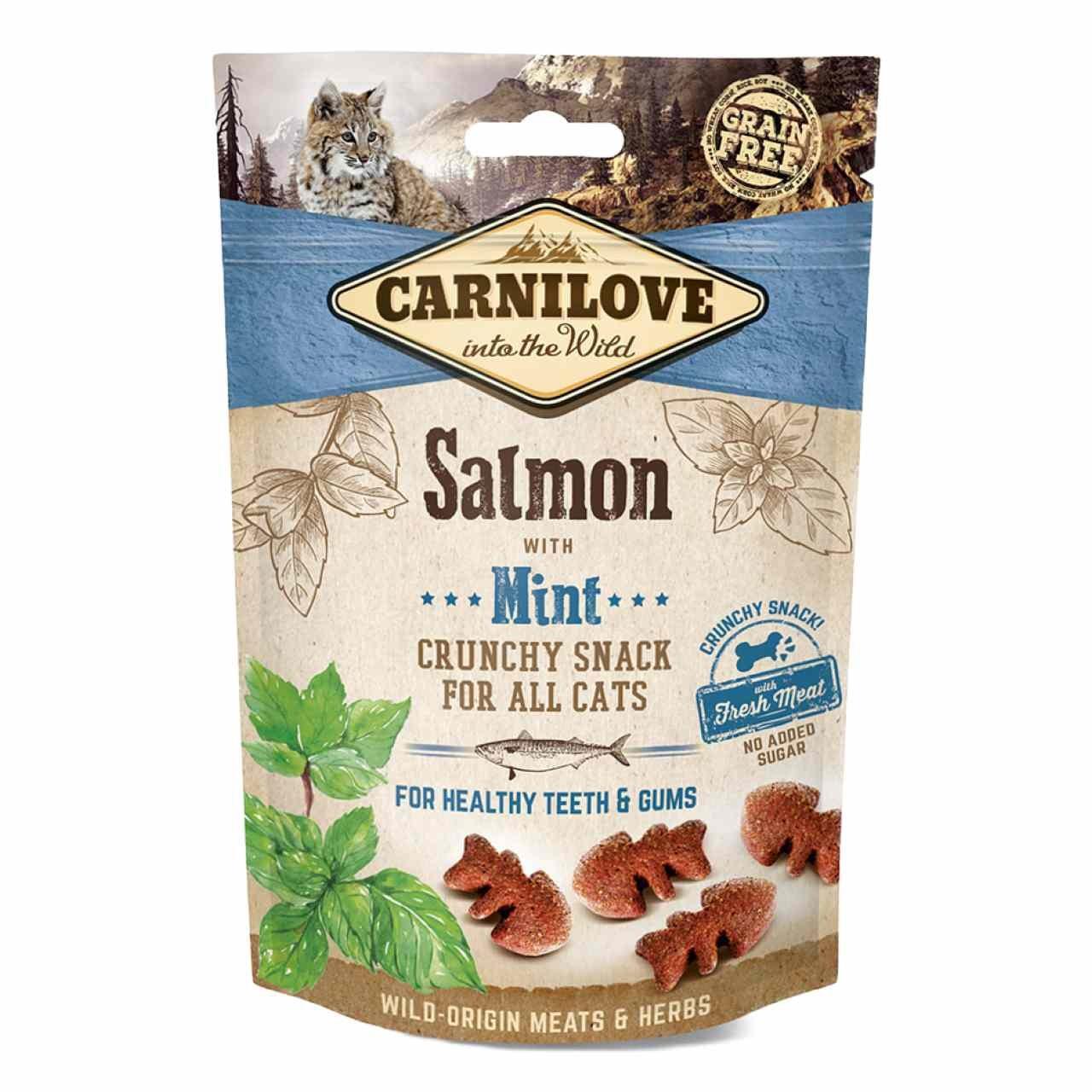 Salmon Crunchy Snacks - Grain Free Cat Treats 50g