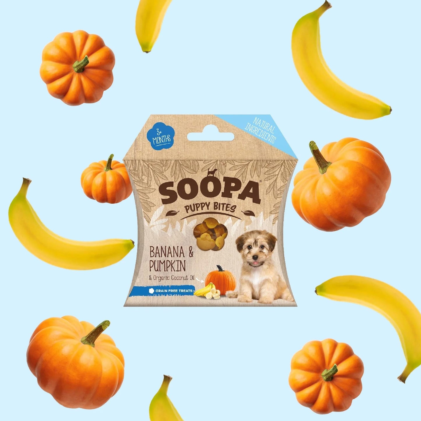 Banana & Pumpkin Healthy Training Bites for Puppies 50g