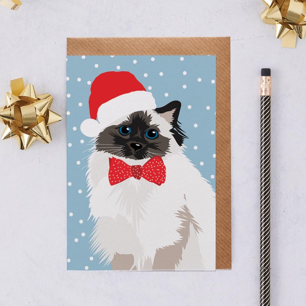 Meg the Persian Cat Christmas Card