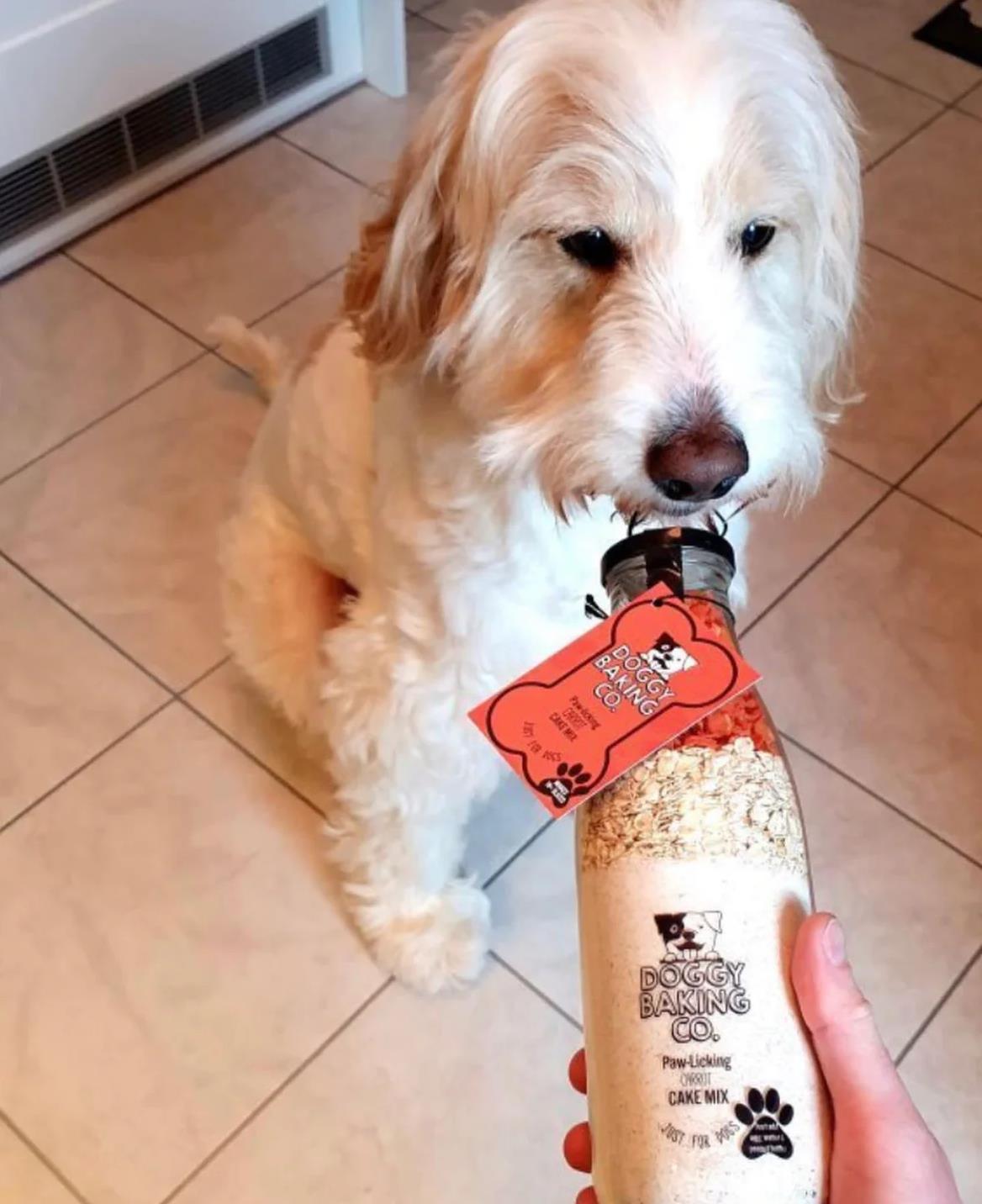 Doggy Baking Co. Bottled Paw-licking Carrot Cake Mix Just for Dogs